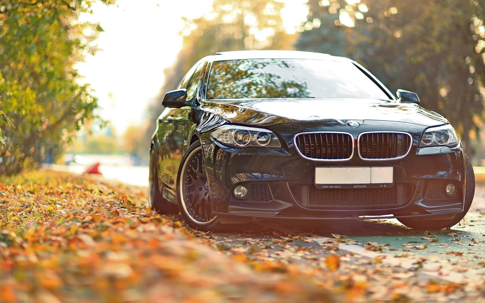 BMW autumn